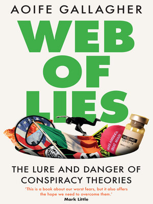 cover image of Web of Lies